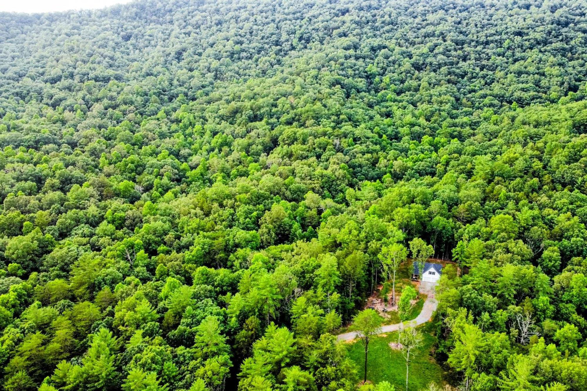 White Owl Cottage Блеърсвил Екстериор снимка